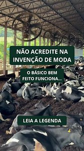 Ambiente limpo não é luxo. É estratégia contra a mastite. 🐄💡 Patógenos ambientais como E. coli, se multiplicam nos locais onde as vacas se deitam, circulam e descansam. No geral, agentes ambientais possuem transmissão entre as ordenhas, pela extremidade do teto, principalmente quando o sistema imune está mais vulnerável, como no pós-parto ou em vacas com estresse térmico. Já a Klebsiella spp., Streptococcus uberis e S. dysgalactiae, embora sejam classificados como ambientais, apresentam compor