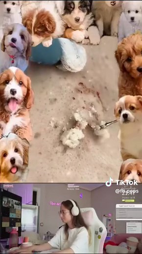 #PimplePopping#PimplePopper#DrPimplePopper#AcneRemoval#BlackheadRemoval#Pimple#Zit#Satisfying#fyp#foryou#foryoupage#viral#trending#explore