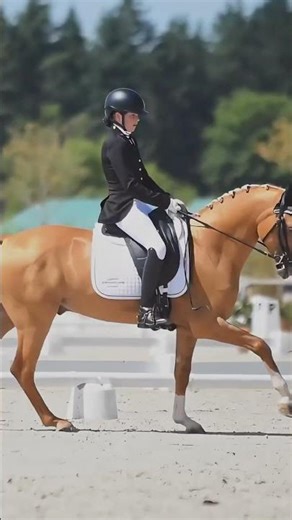Alexandrine Donat & Crown Cheesecake 🐴 | Dressage As Poney 1 – Championnats de France 2025