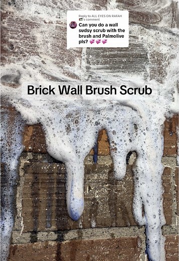 Effective Brick Wall Cleaning with Palmolive Oxy