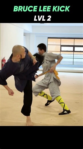 Bruce Lee Kick's Level | #martialarts #kungfu #shaolin #shaolinkungfu #brucelee #wushufight #wushu