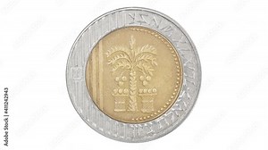 Complete set of Israel coins stop motion animation. Frame animation Israel coins close up on a white background isolated. Economy, finance, business, investment success concept.