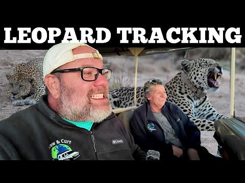 Leopard Tracking UNBELIEVABLE Encounter! (Okonjima Reserve)