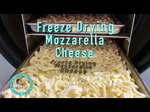 Freeze Drying Mozzarella Cheese and rehydration