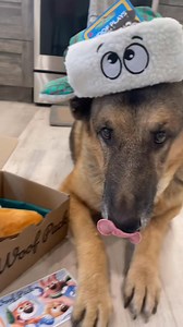 Unboxing our SNOW Edition Pack ! #dogsoftiktok #fyp #dog #treats #foryou #winter #toys #snowday #unboxing #smile #canadian | Aclassic 999M