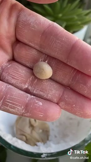 Homemade Boba Coffee Recipe | Easy DIY Tutorial