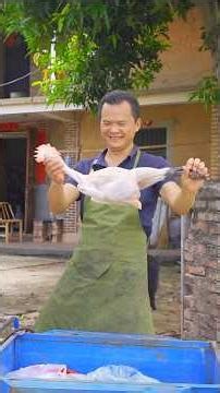 "अदरक के पानी में मुर्गा उबला लालच के स्वाद का घड़ा फूटा!"☺️ #comedy #shorts