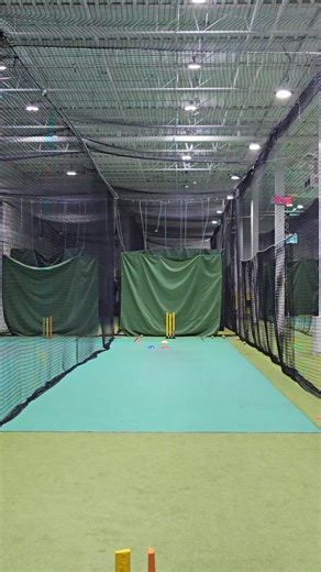 Professional Routines for Successful Cricket Development