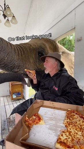 Learning Table Manners with an Elephant Pizza