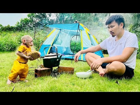 Camping journey of monkey Bibi and dad!