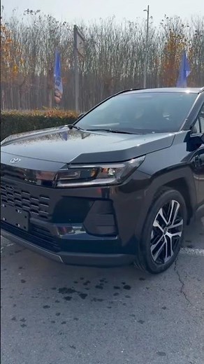 Discovered: The 2026 Toyota RAV4 Wildlander. China's PREMIUM RAV4 Revelation.