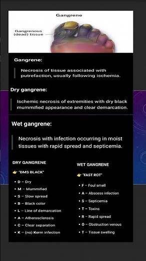 What Is Gangrene? Causes & Types | Dry vs Wet vs Gas Gangrene – Super Easy