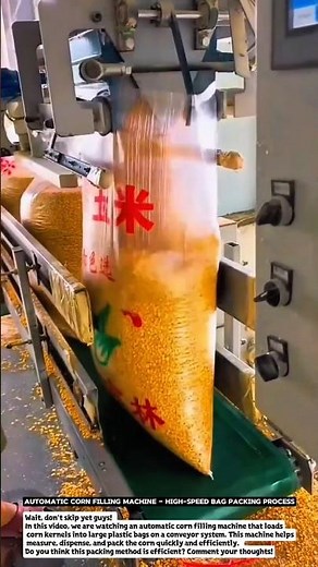 Automatic Corn Filling Machine – High-Speed Bag Packing Process.