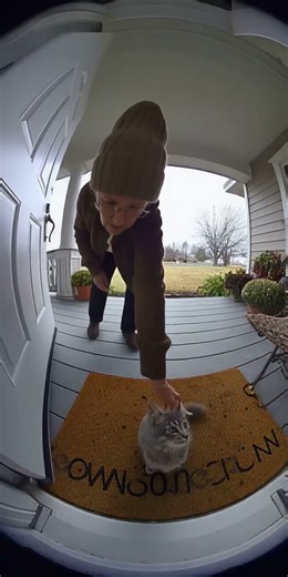 Kitten Causes Massive Explosion at Front Door! 💥🐱🏡