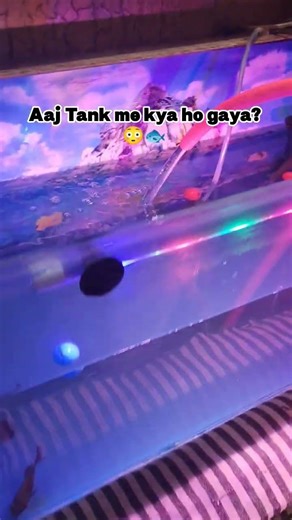 ❤️‍🔥#oscar #shorts #kurlaFishMarket #mumbai #aquarium #fishkeeping #fishshorts #viral #trending #og