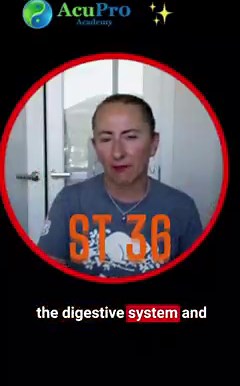 The 3 BEST acupuncture points for Spleen Qi deficiency! | AcuPro Academy