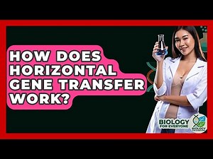 How Does Horizontal Gene Transfer Work? - Biology For Everyone