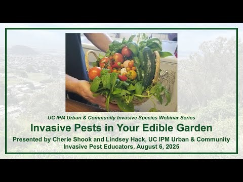 Invasive Pests in Your Edible Garden