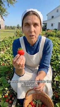 Strawberry Benefits for Brain & Memory 🍓(Memory Boost Secret) #amish #health #strawberry #wellness