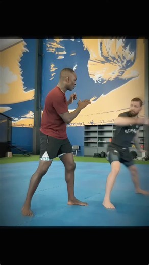 #ufc #mma #fighttips #action #edit #ruffy | UFC Edits