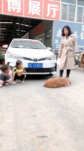 12K views · 120 reactions | Smart dog | Body Building Motivation | Facebook