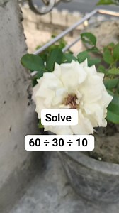 Math Solution Comment Your | M Mathematics