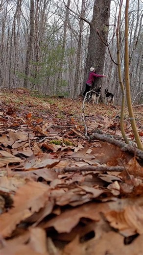 Hug a tree this Earth Day.  Remember that we live IN this world, not just on it. ❤️ | The Girl with the Tree Tattoo | Facebook