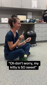 Mommy’s little angel 😇 | Sarah Parsons Licensed Vet Tech
