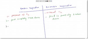 SOLVED:Explain the difference between the two different typesof fermentation (lactic acid fermentation and ethyl fermentation).Include details of the basic chemical processes and the products ofthis process.Give examples of cells/organisms that undergo theseprocesses.