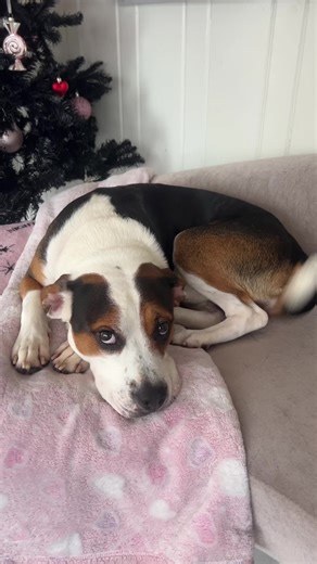 Smokey Eyes for Everyday Style