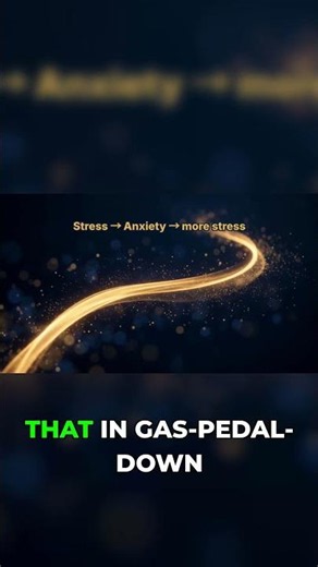 The Stress-Anxiety Loop: Why You're Stuck