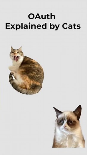 OAuth explained by cats! 🐱🔐 follow for more. #cat #coding #programming #security