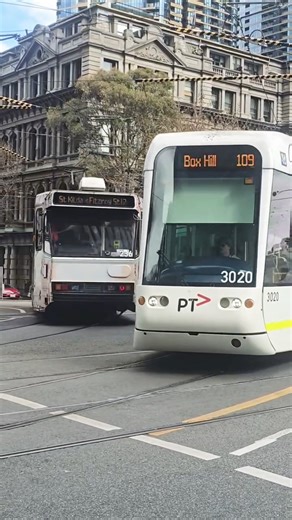 Melbourne Trams = Urban Magic ✨