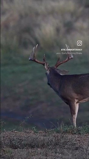 Early morning ☀️ shakes… #whiskeymyers #hunting #deer #texas