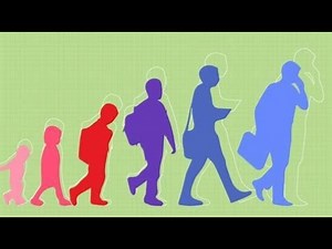 Live NCE/CPCE Human Growth Development Review! #exam #nce #cpce #examprep #studymotivation