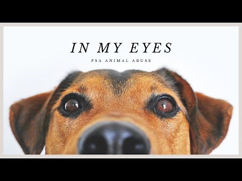 In My Eyes: Animal Abuse PSA