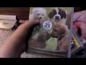 My NCircle Entertainment DVD Collection Pt. 2 (FINAL DVD/BLU-RAY COLLECTION VIDEO OF 2022)