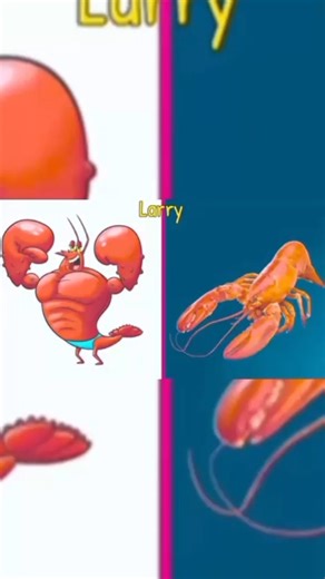 SpongeBob 🤩 SquarePants Characters In Real Life 🥰