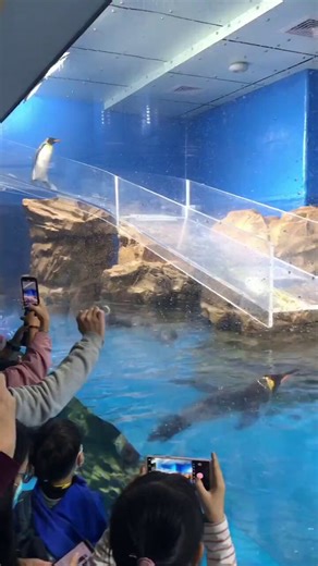 I know that was the the most embarrassing moment his life 😭