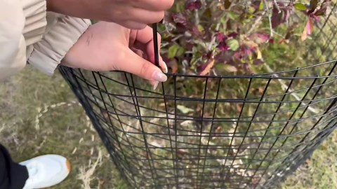 Wire Fence, 36 in(H) X 50 ft(L) PVC Coated Welded Wire Fencing 2" X 2" 16GA Garden Border Vinyl Metal Chicken Wire Fencing Mesh Roll for Yard Vegetable Plant Protection Poultry Netting Black