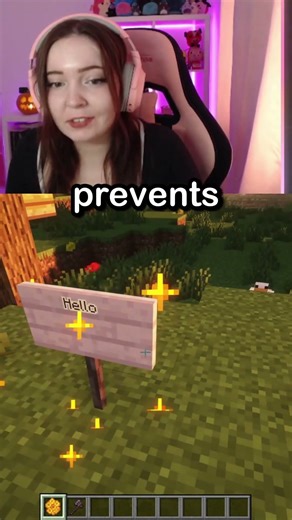 Minecraft Wooden Sign Tricks You HAVE To Try!