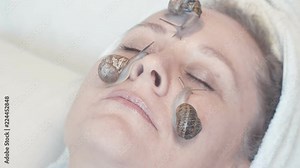 snail slime the secret of skin rejuvenation and female beauty