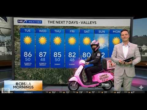 Funny News Bloopers Compilation | Hilarious Live Tv Moments