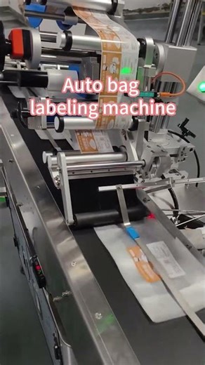 Automatic Paging Labeling Machine | Flat Products Labeling Solution