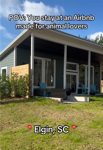 Stay at the Ultimate Animal Lover's Airbnb