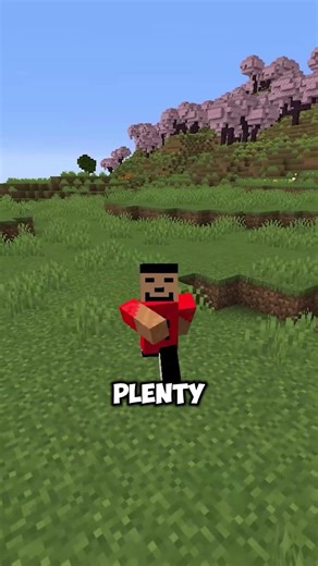 This Is The Most Important Enchantment In Minecraft