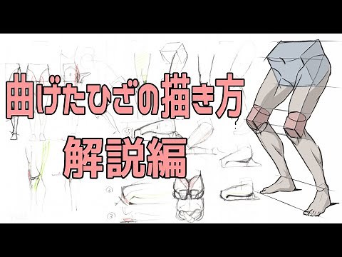【膝の描き方①】骨から筋肉、関節までも徹底解説！コレを見れば曲がった膝も超簡単！【ライブ切り抜き】