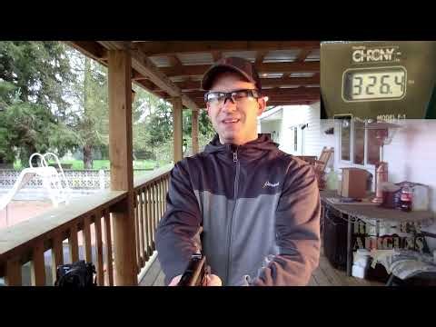 Daisy Winchester Model 11 CO2 Blowback BB Pistol Field Test Review