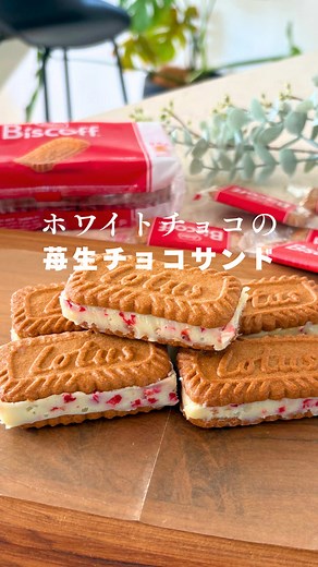 レシピはこちら↓ @kurumi_holistic_life_balance . オーブンなし・卵なし 材料たった4つ！ ホワイトチョコ×いちご 生チョコロータスサンド🍓 バレンタイン、 何作るかもう決めた？ 今回は 質問が多かった、 『ホワイトチョコでもできますか？』 にお答えして、 ロータスにホワイトチョコとフリーズドライの苺を 挟んで作る生チョコサンドを作ったよ🍫 そして、なんと今回は生クリームとロータス以外 DAISOで買えるもので作ったよ！ 少し価格抑えめで作れるのがポイントです！ ホワイトチョコは扱いにくいので レシピをしっかりみて作ってみてねー！ 温めすぎない・混ぜすぎないが成功のコツ🤍 . ⸻ 📝レシピ 【材料】（約5個分） 容器はDAISOの紙のパウンド型 （6.5㎝×17.5㎝×4.5㎝） ・ガーナホワイトチョコレート … 90g ※ホワイトチョコは種類によって 固まりにくいものがあるので この分量を守ってください ・生クリーム （35%以上）… 40ml ・フリーズドライいちご … 3.6g ・ロータスビスケット … 10枚 【作り方】 ① ロータス5枚を