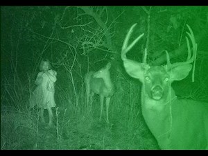 216K views · 3.4K reactions | 3 Horrifying TRUE Hunting Stories to Freak you Out | Mr. Nightmare | Horror Story #mrnightmare #horrorstory | The Hidden Scream | Facebook